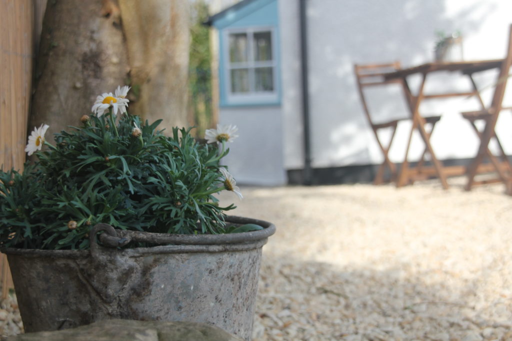 Planter in the cottage garden