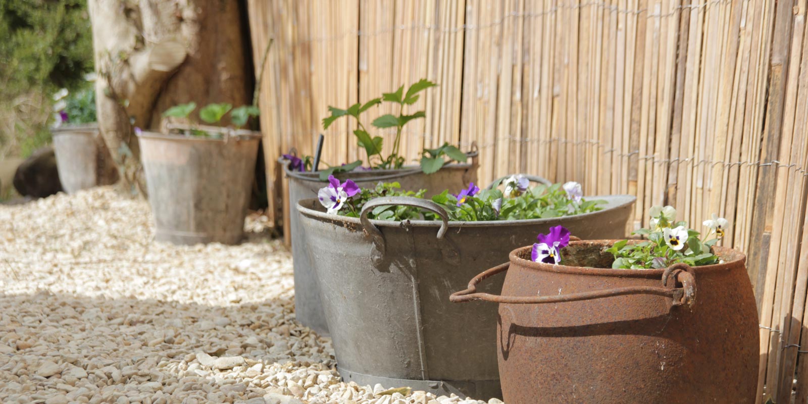 Reclaimed pots used for flowers in the garden
